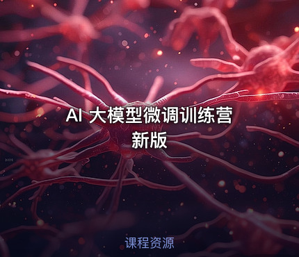 AI 大模型微调训练营 新版