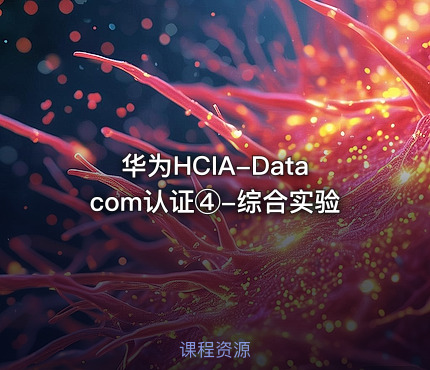 华为HCIA-Datacom认证④-综合实验