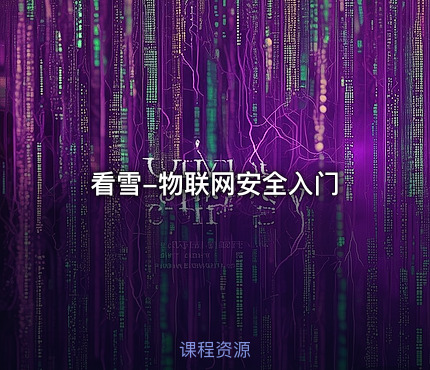 看雪-物联网安全入门