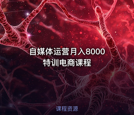 自媒体运营月入8000特训电商课程