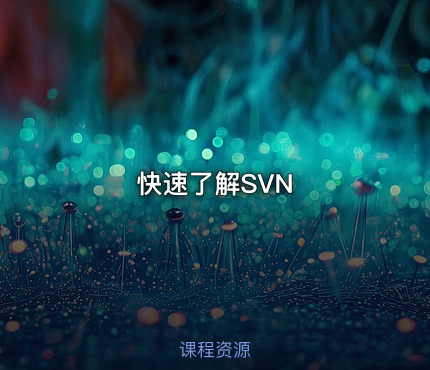 快速了解SVN