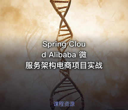 Spring Cloud Alibaba 微服务架构电商项目实战