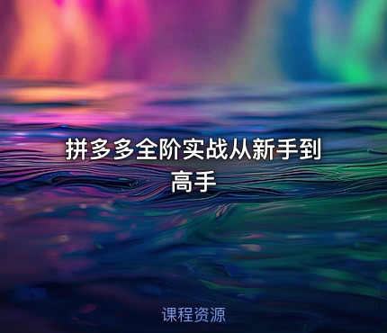 拼多多全阶实战从新手到高手