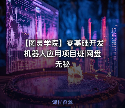 【图灵学院】零基础开发机器人应用项目班|网盘无秘