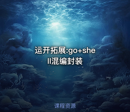 运开拓展:go+shell混编封装