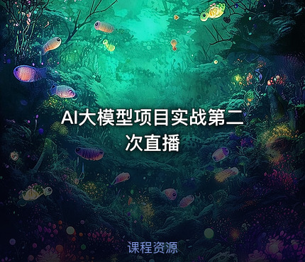 AI大模型项目实战第二次直播