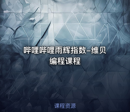 哔哩哔哩雨辉指数-维贝编程课程