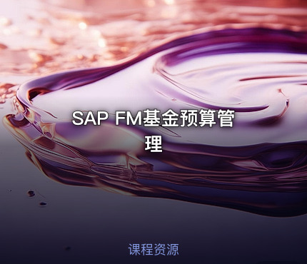 SAP FM基金预算管理