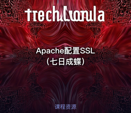 Apache配置SSL（七日成蝶）