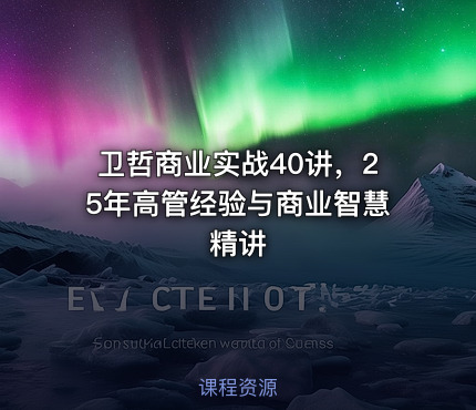 卫哲商业实战40讲，25年高管经验与商业智慧精讲