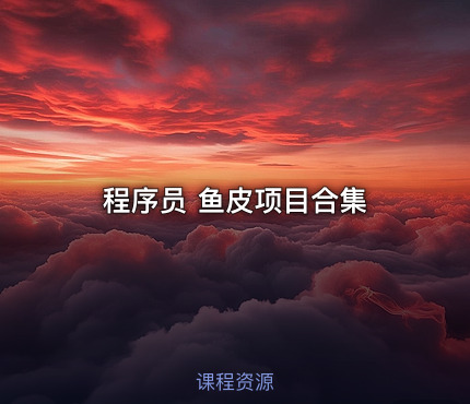 程序员 鱼皮项目合集