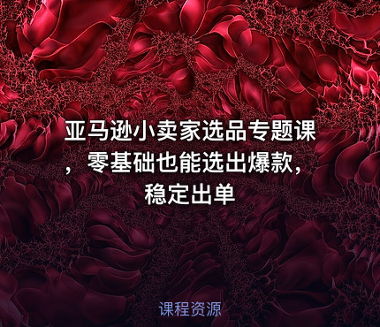 亚马逊小卖家选品专题课，零基础也能选出爆款，稳定出单