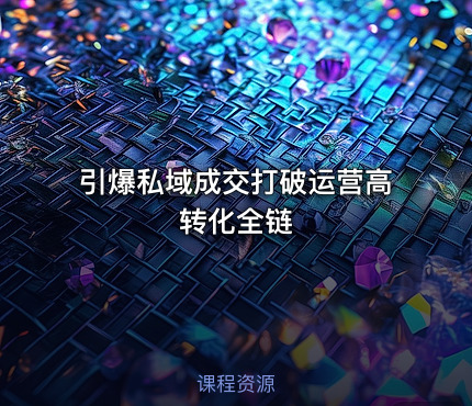 引爆私域成交打破运营高转化全链