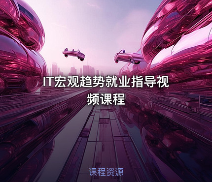 IT宏观趋势就业指导视频课程