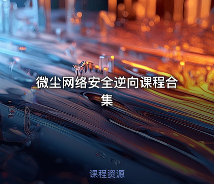 微尘网络安全逆向课程合集