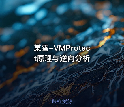 某雪-VMProtect原理与逆向分析