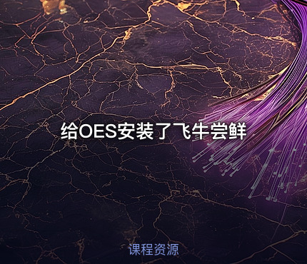 给OES安装了飞牛尝鲜