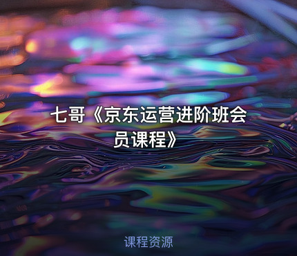 七哥《京东运营进阶班会员课程》
