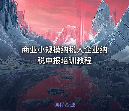 商业小规模纳税人企业纳税申报培训教程