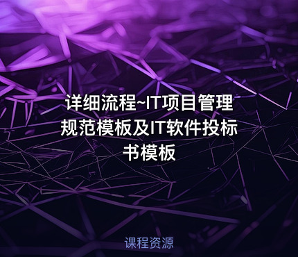 详细流程~IT项目管理规范模板及IT软件投标书模板
