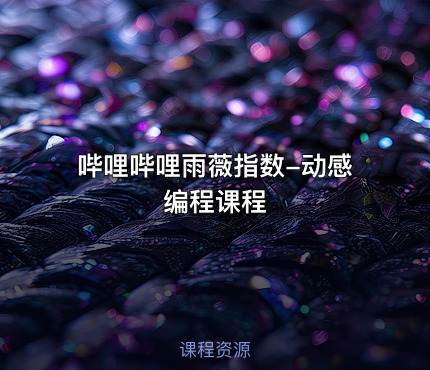 哔哩哔哩雨薇指数-动感编程课程