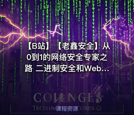 【B站】【老鑫安全】从0到1的网络安全专家之路 二进制安全和Web安全