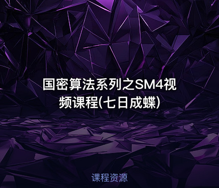 国密算法系列之SM4视频课程(七日成蝶)
