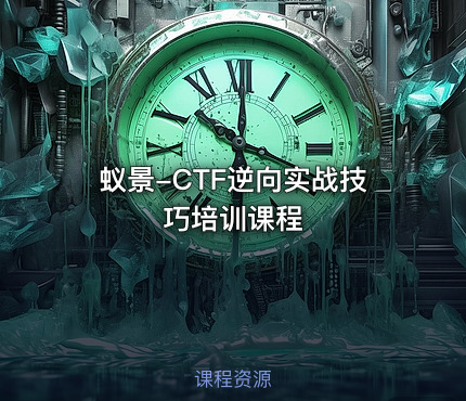 蚁景-CTF逆向实战技巧培训课程