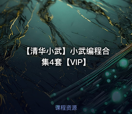 【清华小武】小武编程合集4套【VIP】