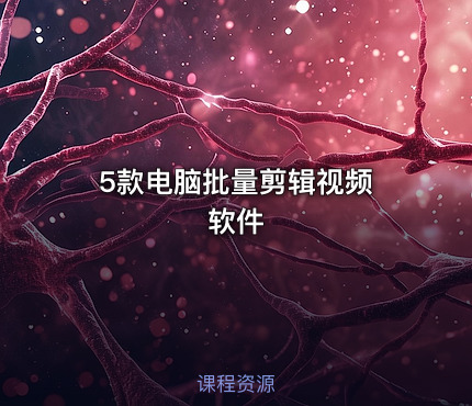 5款电脑批量剪辑视频 软件
