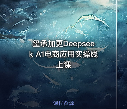 玺承加更Deepseek A1电商应用实操线上课