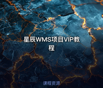 星辰WMS项目VIP教程