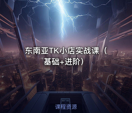 东南亚TK小店实战课（基础+进阶）