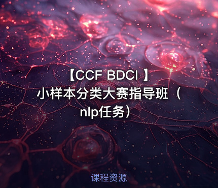 【CCF BDCI 】小样本分类大赛指导班(nlp任务)