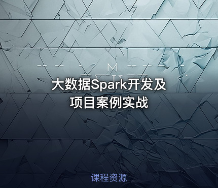 大数据Spark开发及项目案例实战