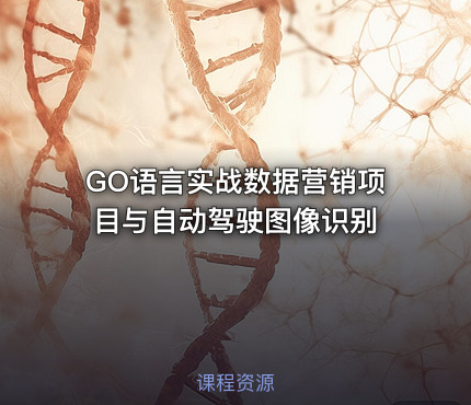 GO语言实战数据营销项目与自动驾驶图像识别