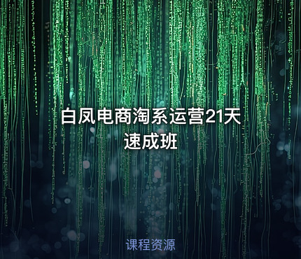 白凤电商淘系运营21天速成班