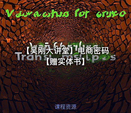 【吴刚大讲堂】电商密码【赠实体书】