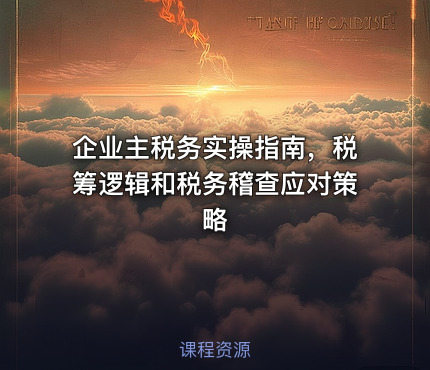 企业主税务实操指南，税筹逻辑和税务稽查应对策略