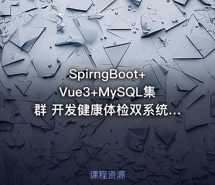 SpirngBoot+Vue3+MySQL集群 开发健康体检双系统|完结无秘