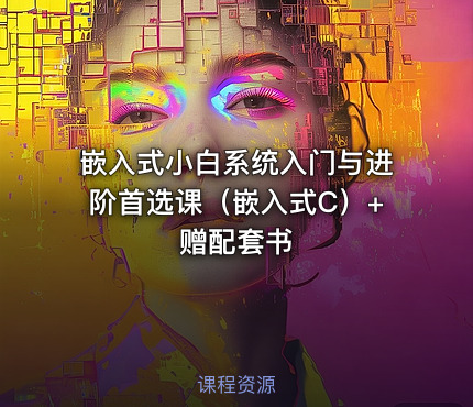 嵌入式小白系统入门与进阶首选课（嵌入式C）+赠配套书