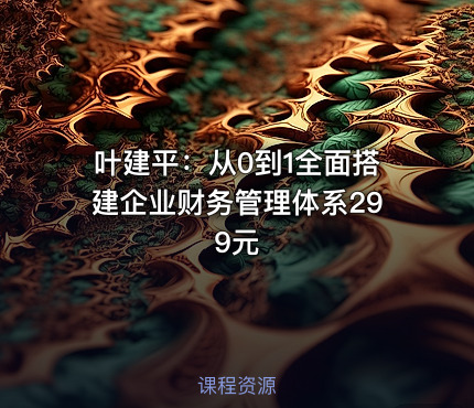 叶建平：从0到1全面搭建企业财务管理体系299元