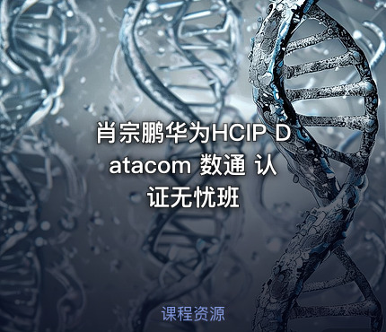 肖宗鹏华为HCIP Datacom 数通 认证无忧班
