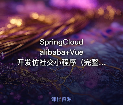 SpringCloudalibaba+Vue开发仿社交小程序（完整版19章）