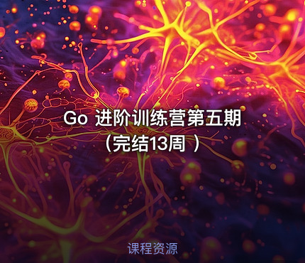 Go 进阶训练营第五期（完结13周 ）