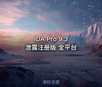 IDA Pro 9.3 泄露注册版 全平台