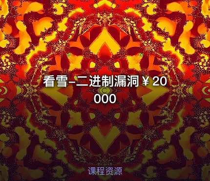 看雪-二进制漏洞￥20000