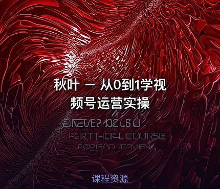 秋叶 – 从0到1学视频号运营实操
