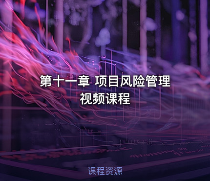 第十一章 项目风险管理视频课程