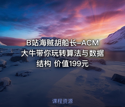 B站海贼胡船长-ACM大牛带你玩转算法与数据结构 价值199元